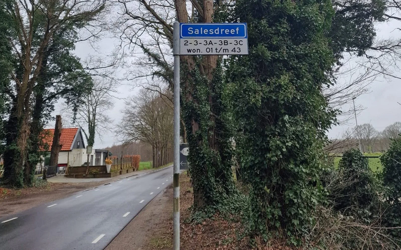 Op Salesdreef 🚩