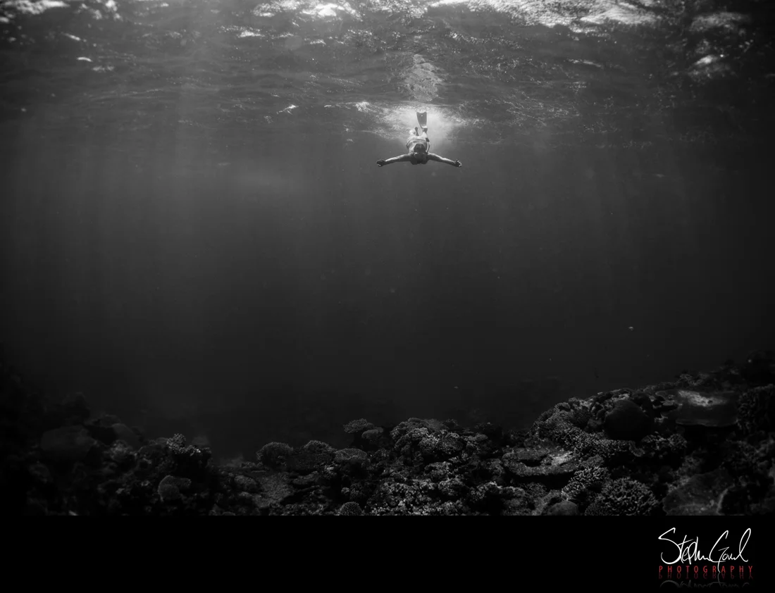 Transient