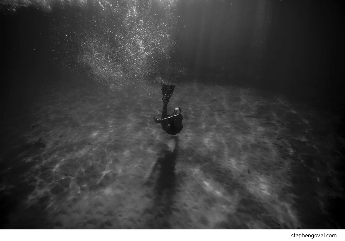 stephengovelsubmergedshelly03.jpg
