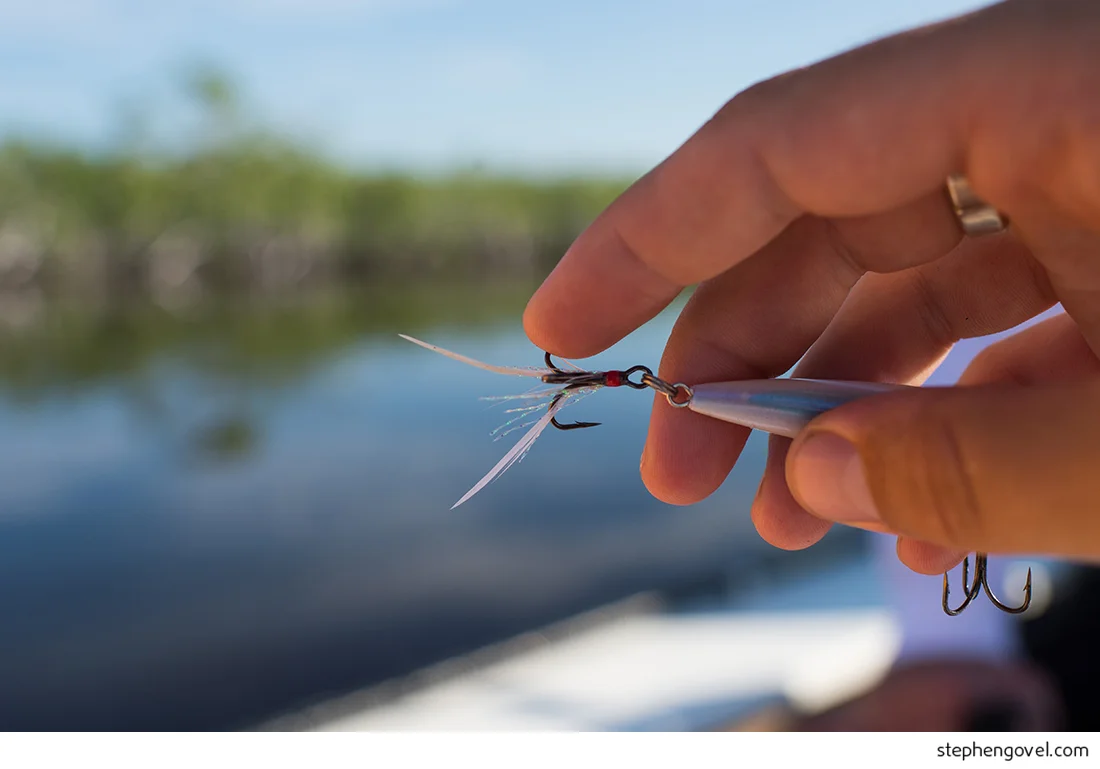 florida keys storm fishing everglades rich smith