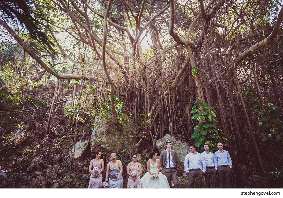 hayman island wedding sunset hamilton tree beautiful fun