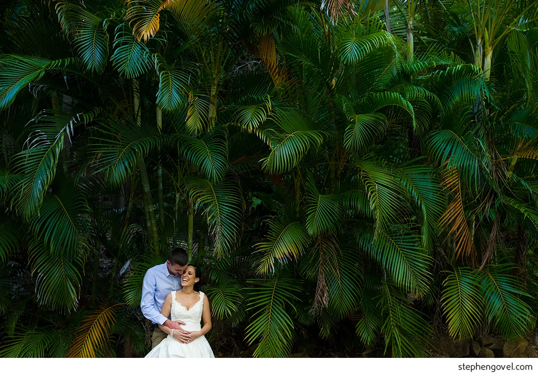 hamilton island trash the dress day after pool beach sunset fun
