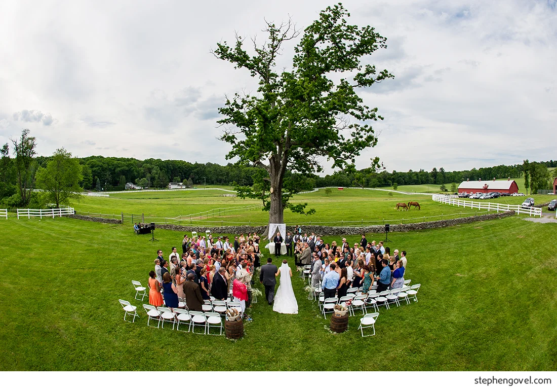 stephengovelbethanybradfriendmanfarms12.jpg