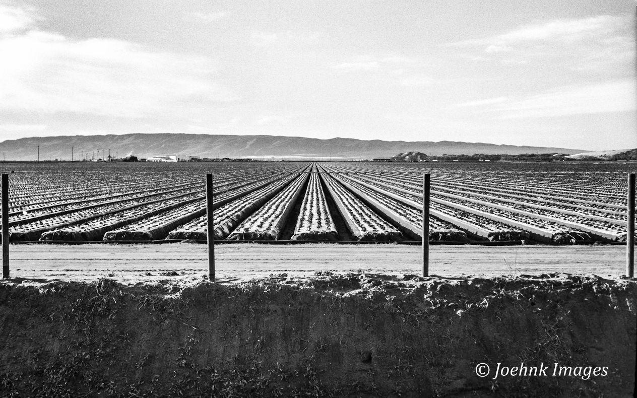 Central Valley #41