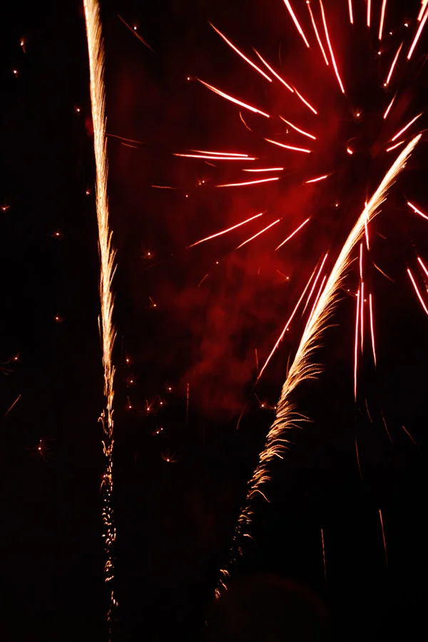 Festa-2013-LT-0849.jpg