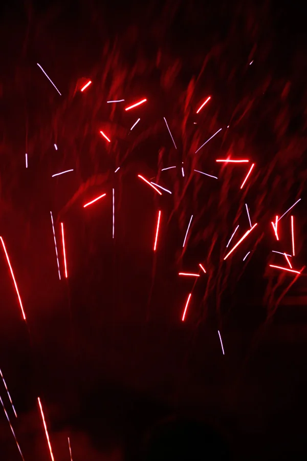 Festa-2013-LT-0851.jpg