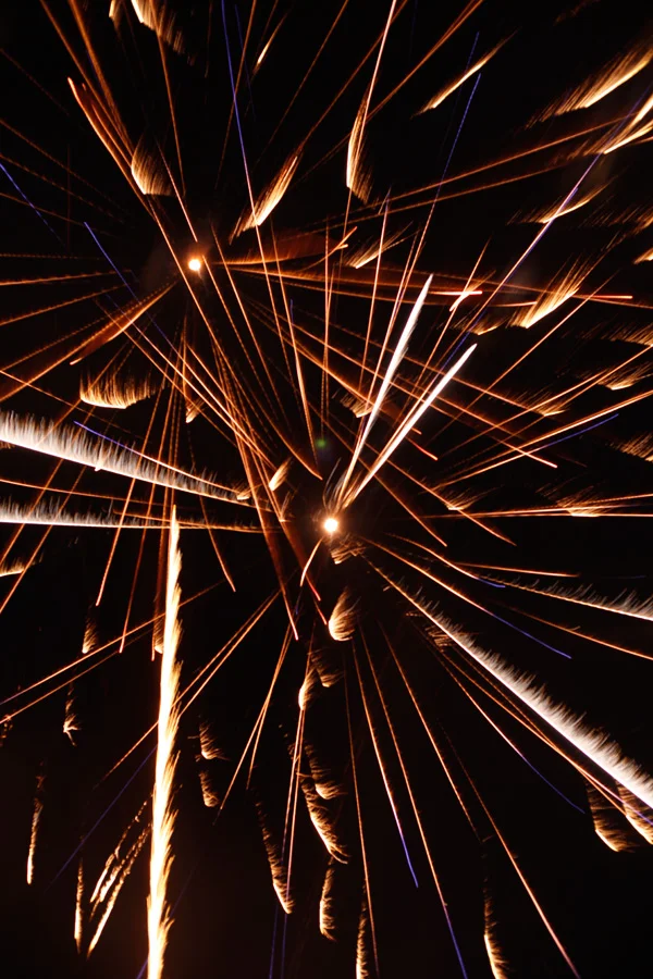 Festa-2013-LT-0856.jpg