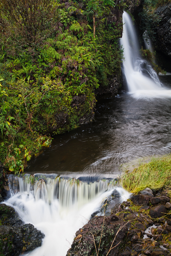 Hana Highway - Maui