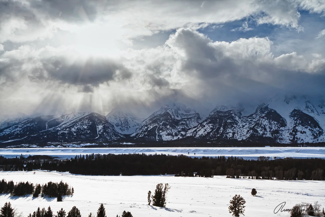 Teton National Forest