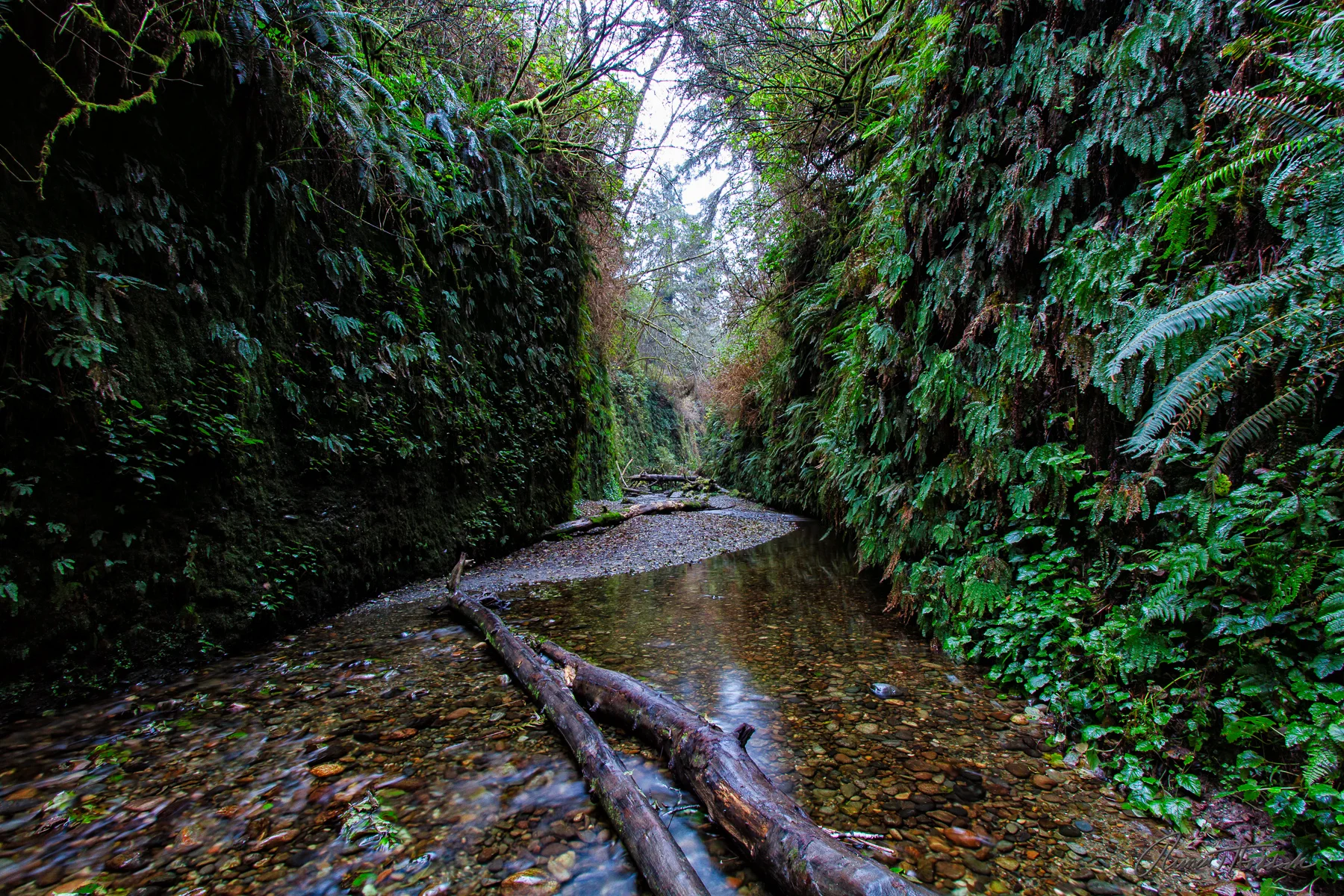 Redwood National Park