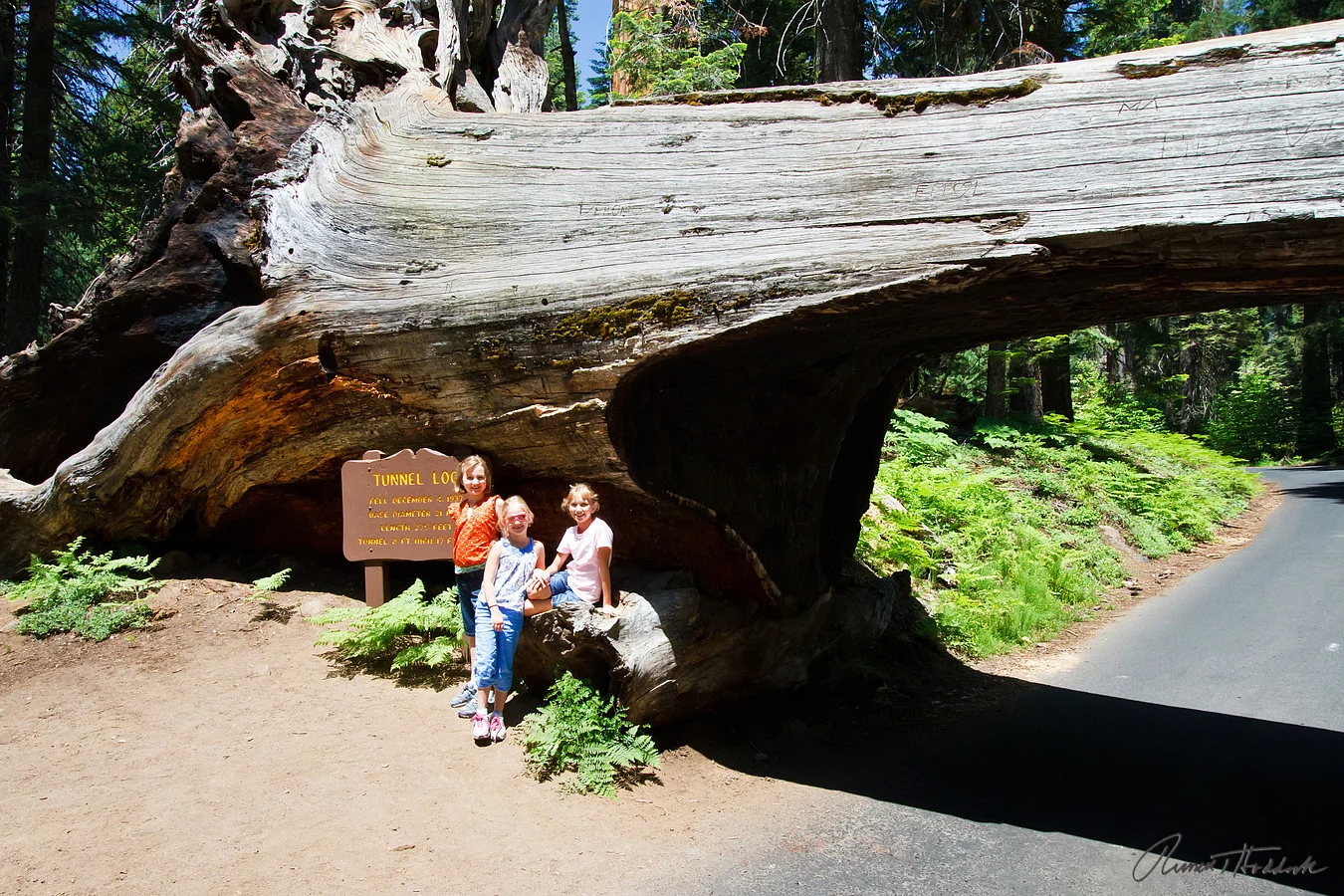 Driving through Tunnel Log