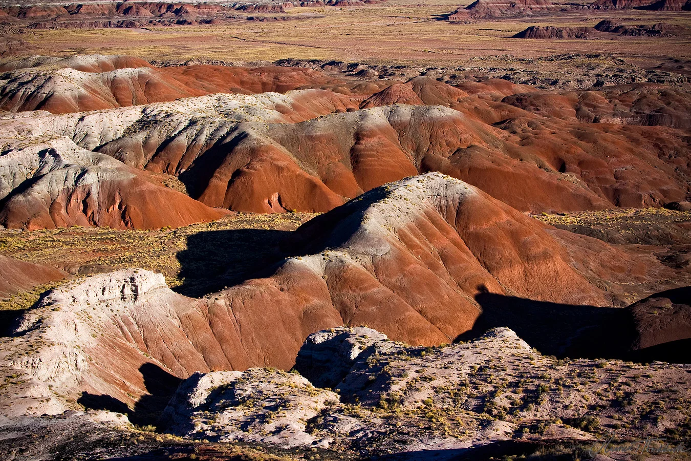 Petrified Forest National Park - Painted Desert