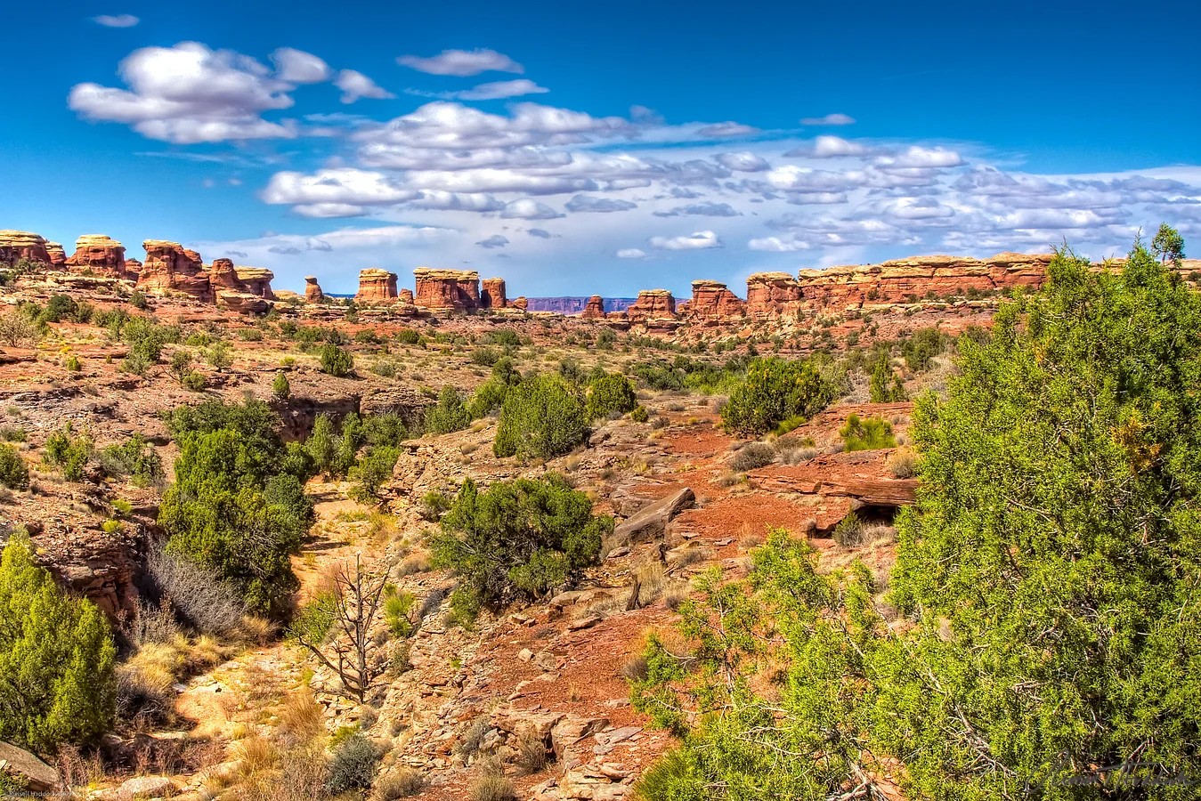 Canyonlands National Park - Needles District