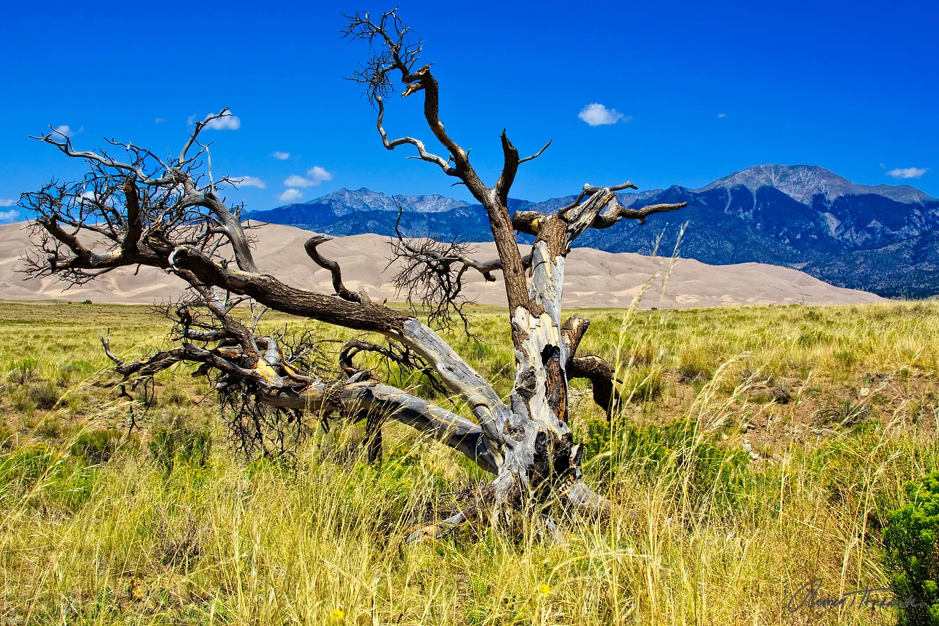 Great Sand Dunes National Park