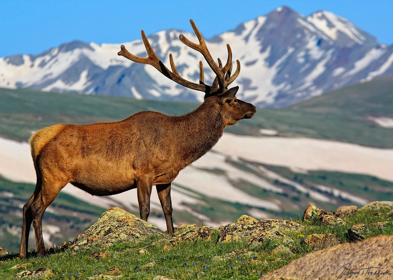 Rocky Mountain National Park