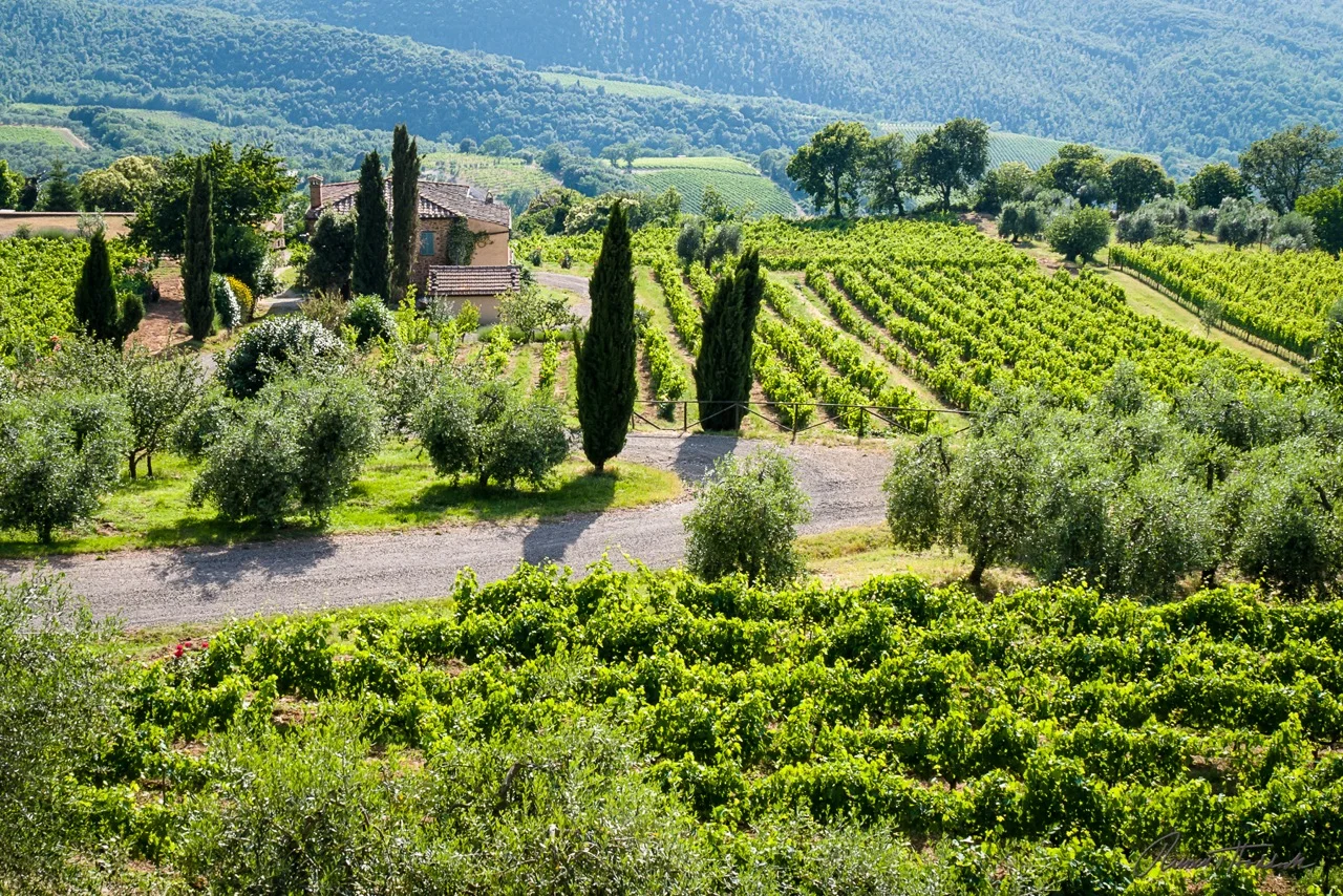 Montalcino, Tuscany, Italy