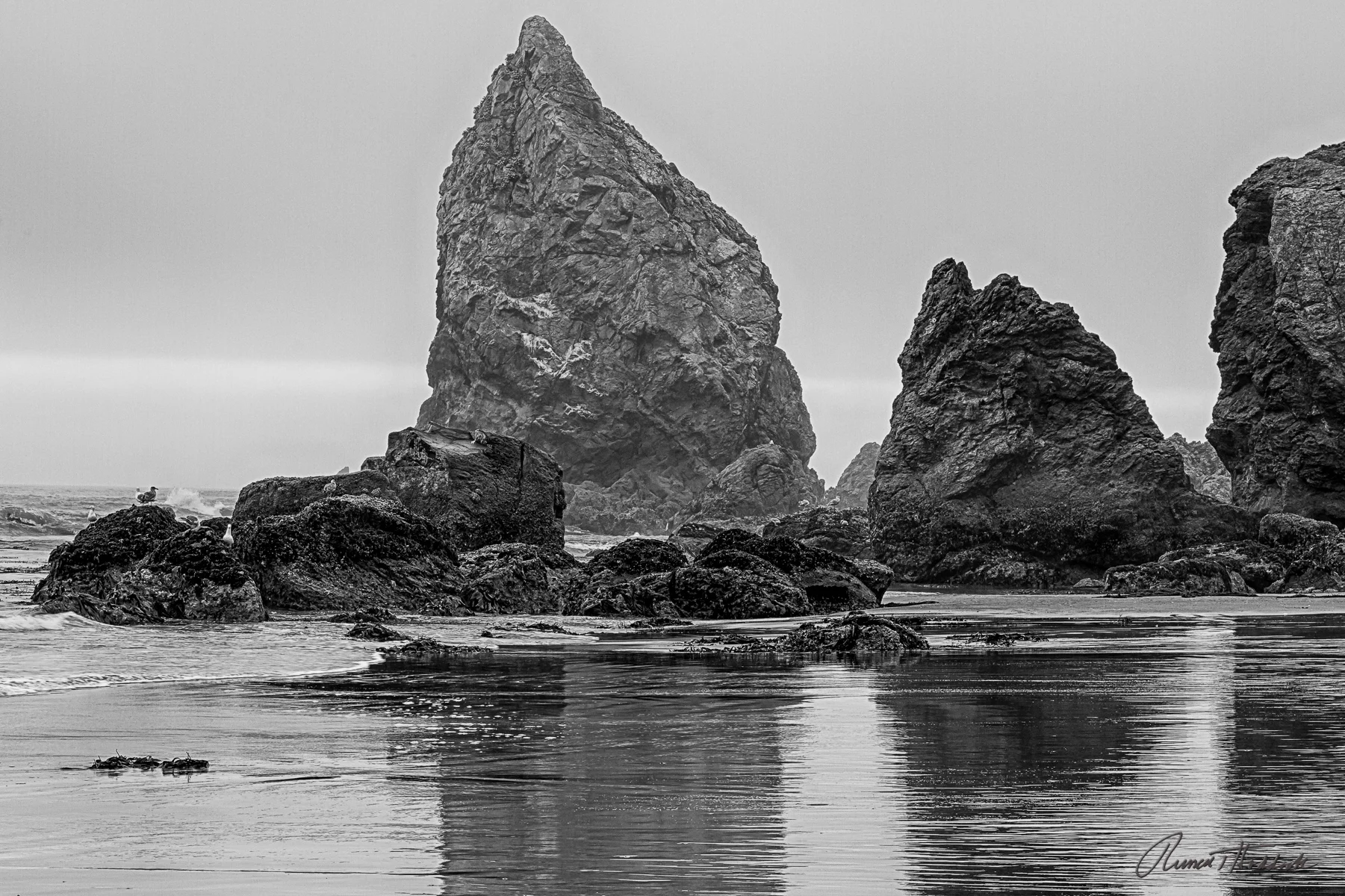 Blacklock Point - Oregon Coastal Hike