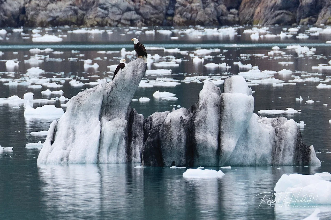 Glacier Bay National Park
