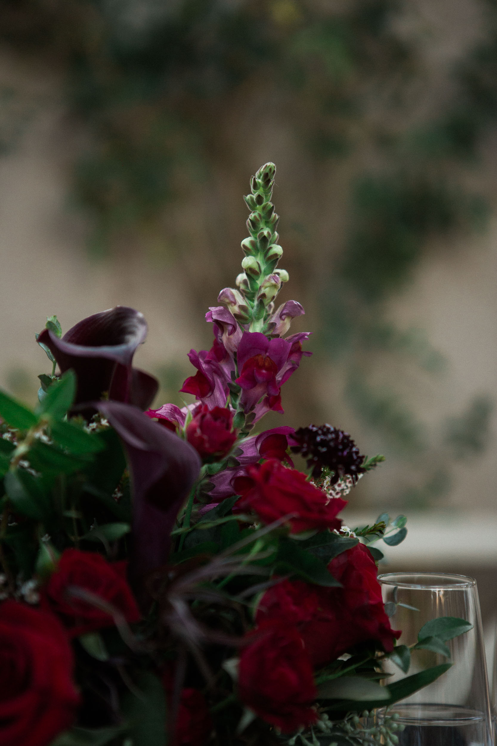 BKM Photography Highland Park Los Angeles Backyard Wedding