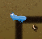 A Kodable bug