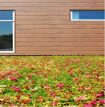 Green Roof