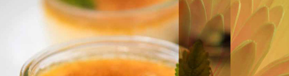 PPG's Almonds &amp; Honey Harmony Color Collection