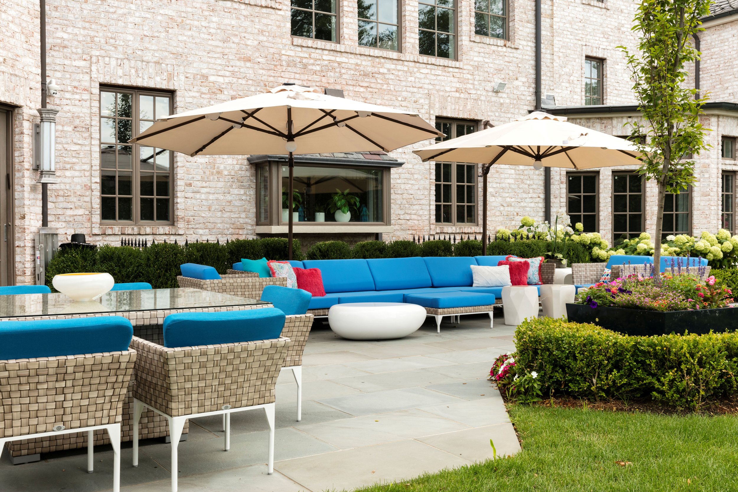 iwi longisland back yard 2.jpg