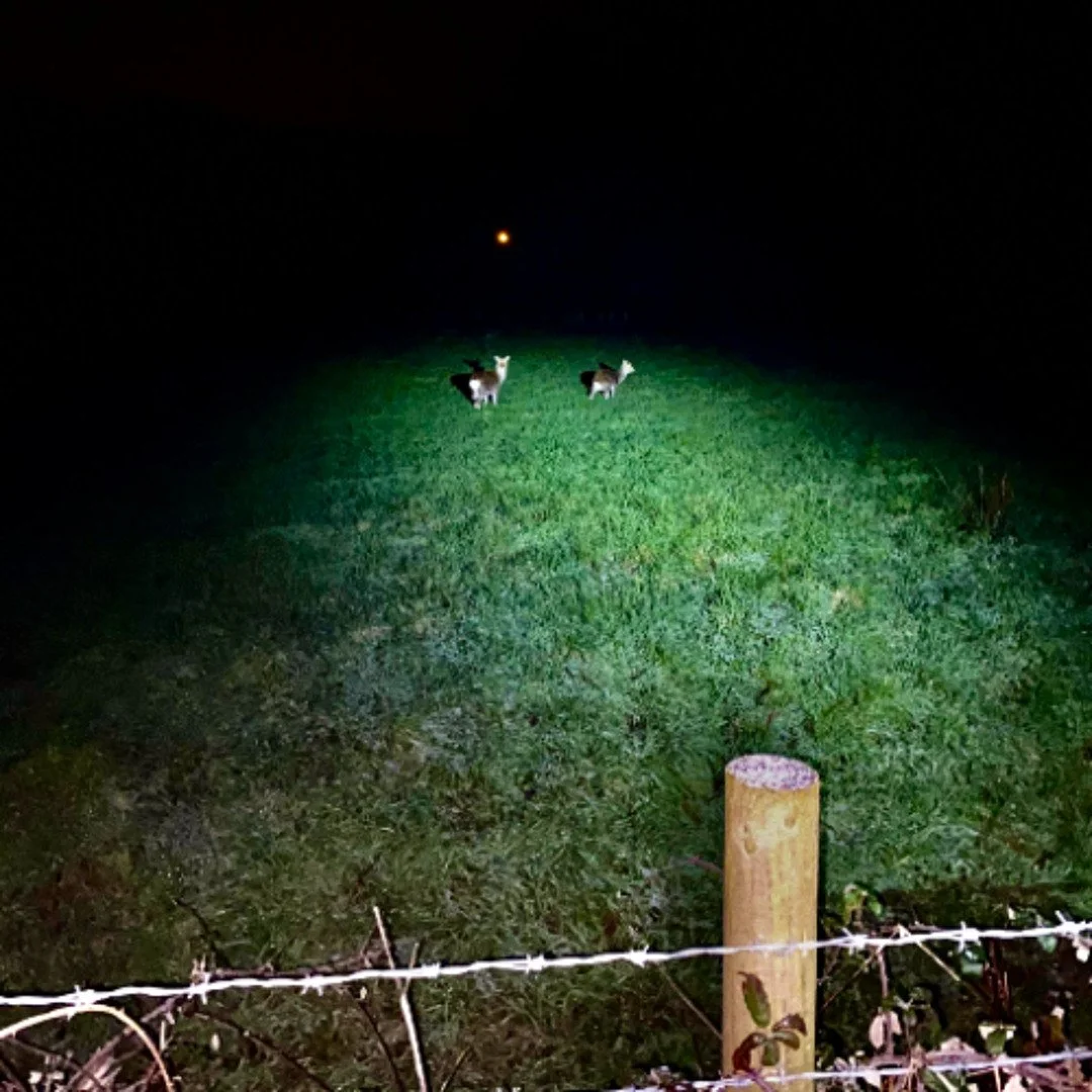 Listen: Little of Me by Ffogg