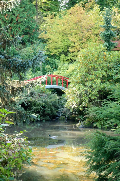 Kubota Gardens - Seattle, Washington