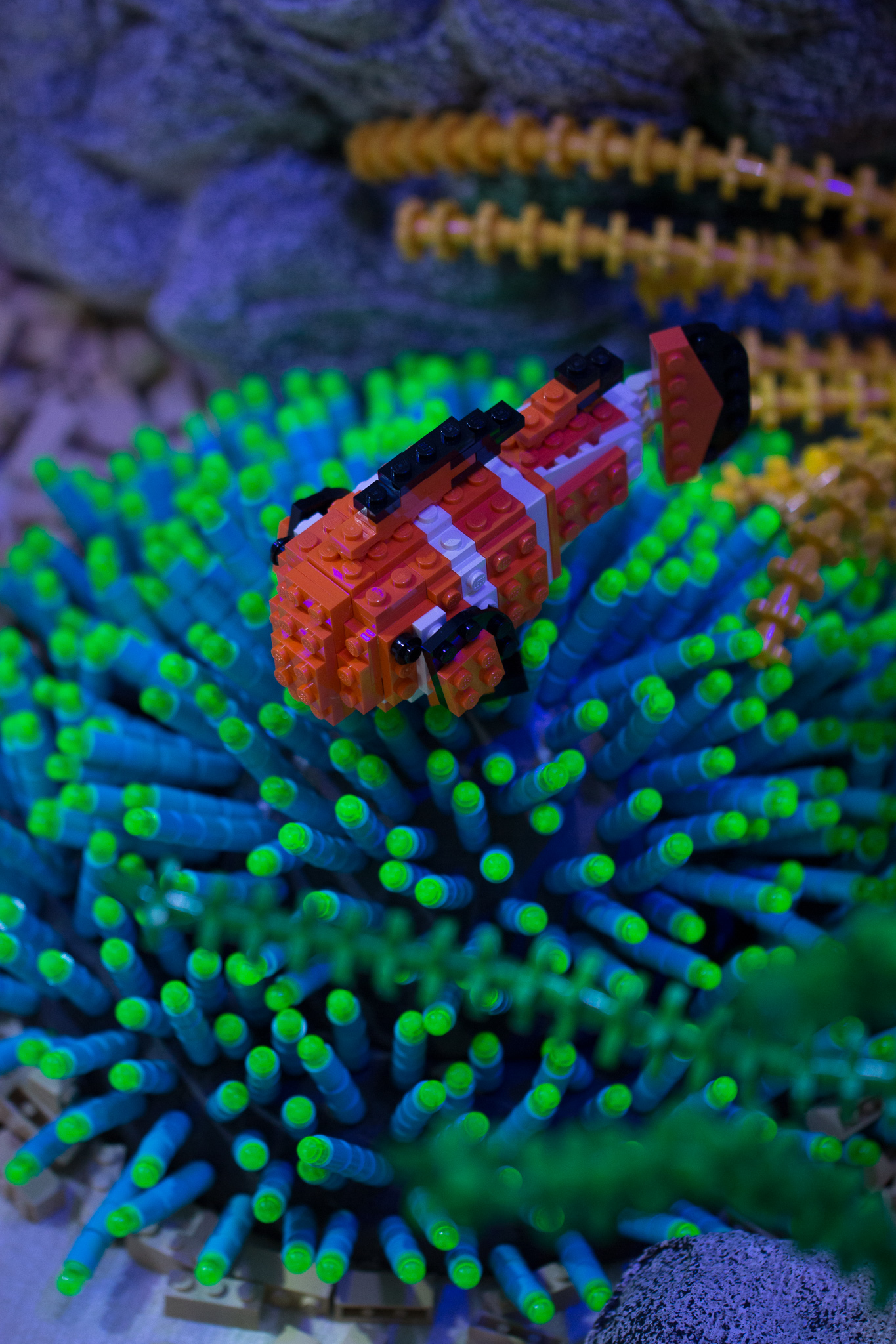 Great Barrier Reef - detail.jpg