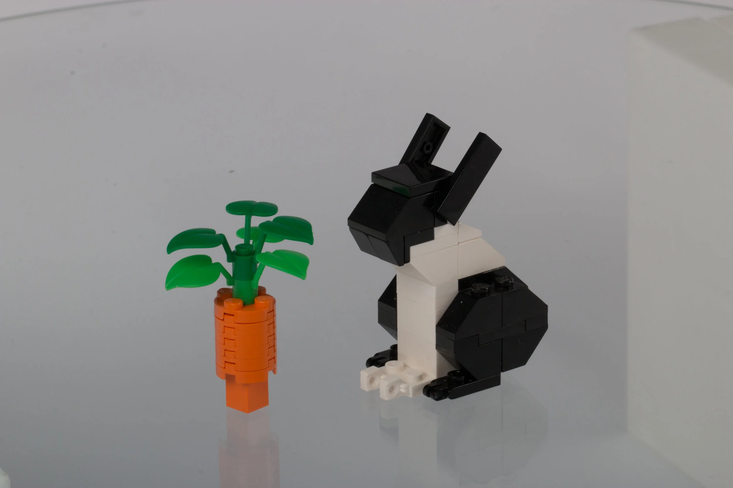 Rabbit & Carrot.jpg