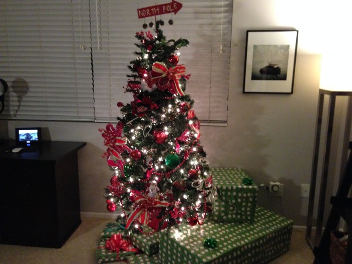 christmasdecor_2013_11.jpg