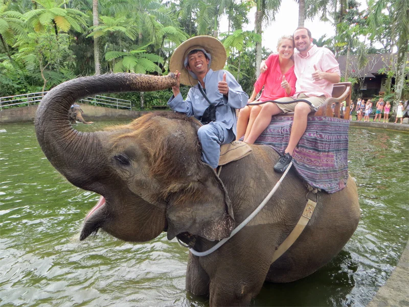 bali.jpg