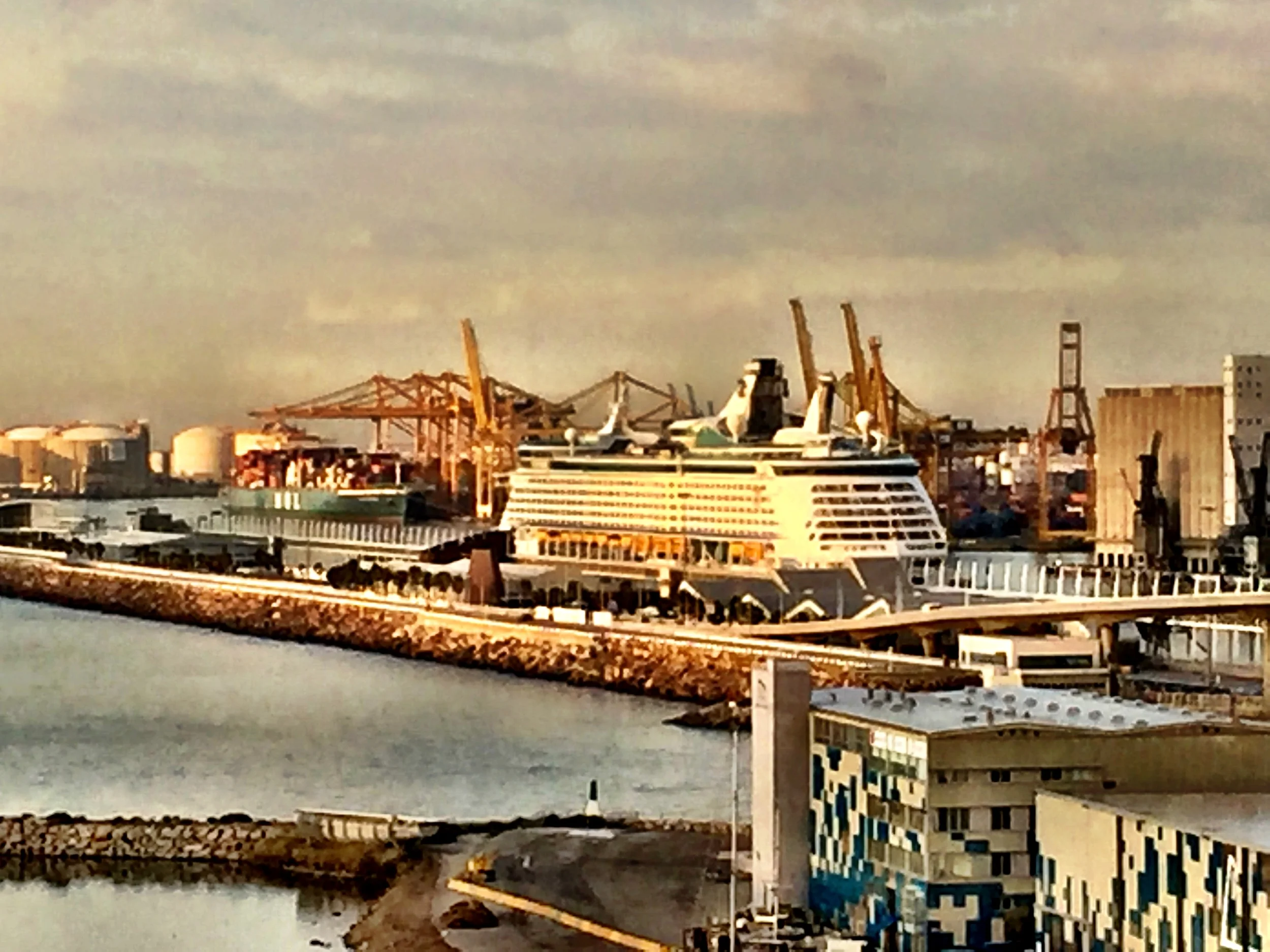 Royal Voyage 2015 Day 3: Walking Zombies