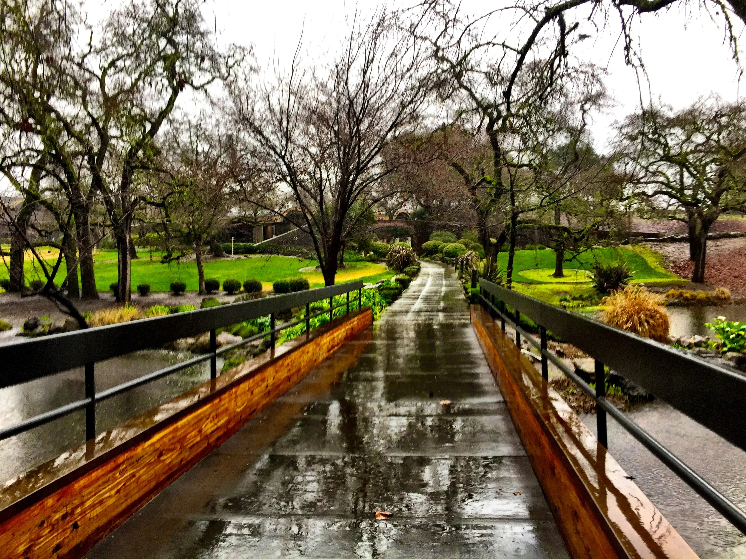 A Mini Vacation - Napa Valley 2016