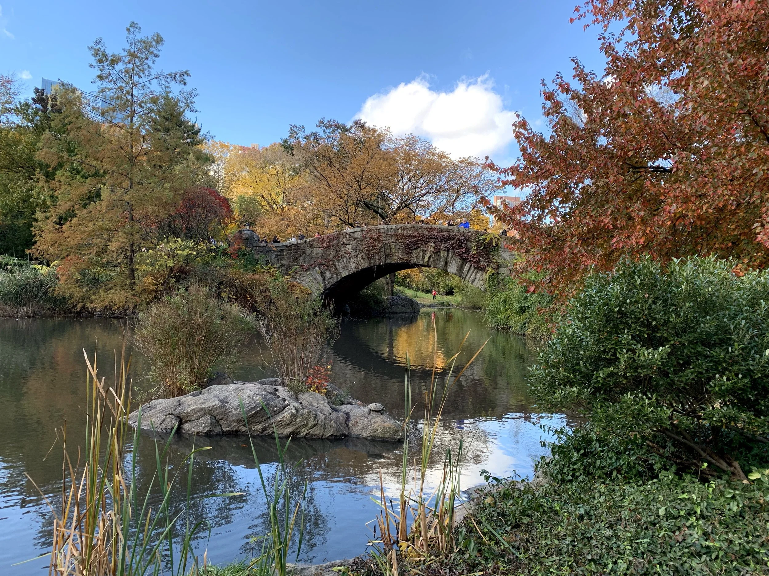 A Look Back - November 2018