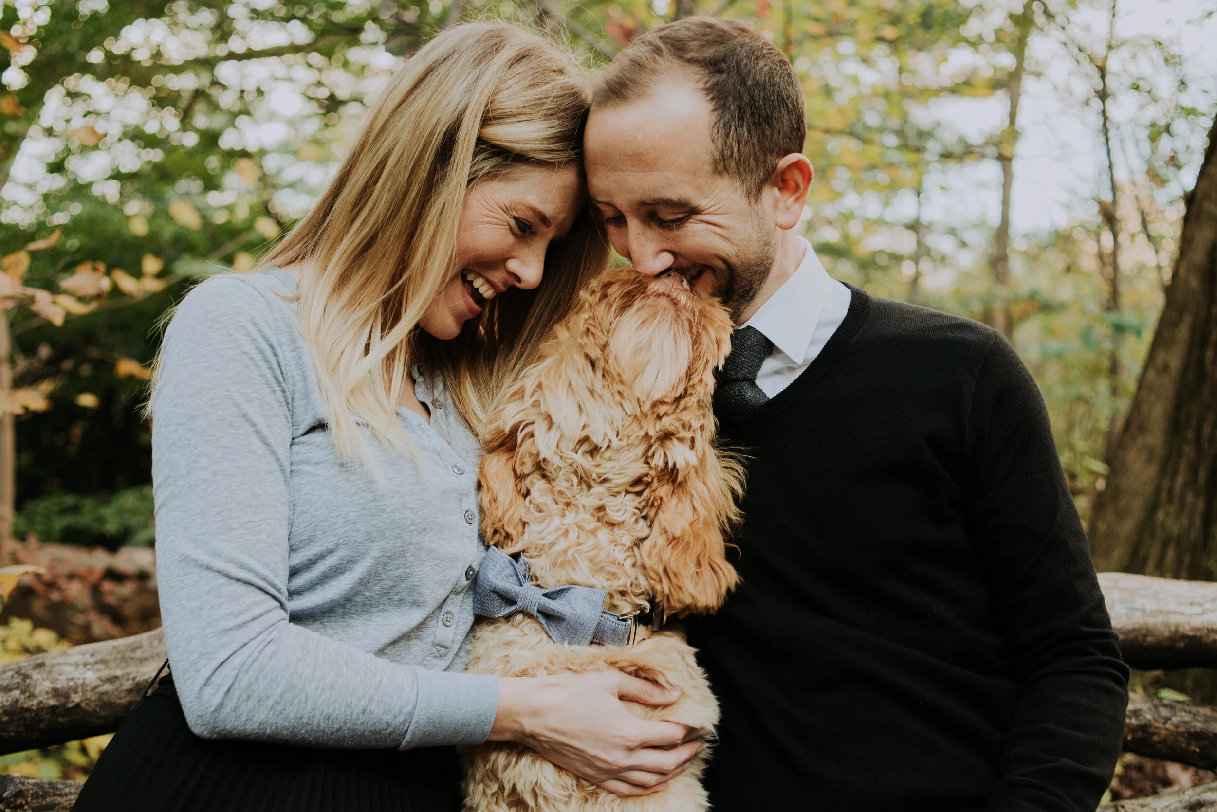 A Look Back - November 2019