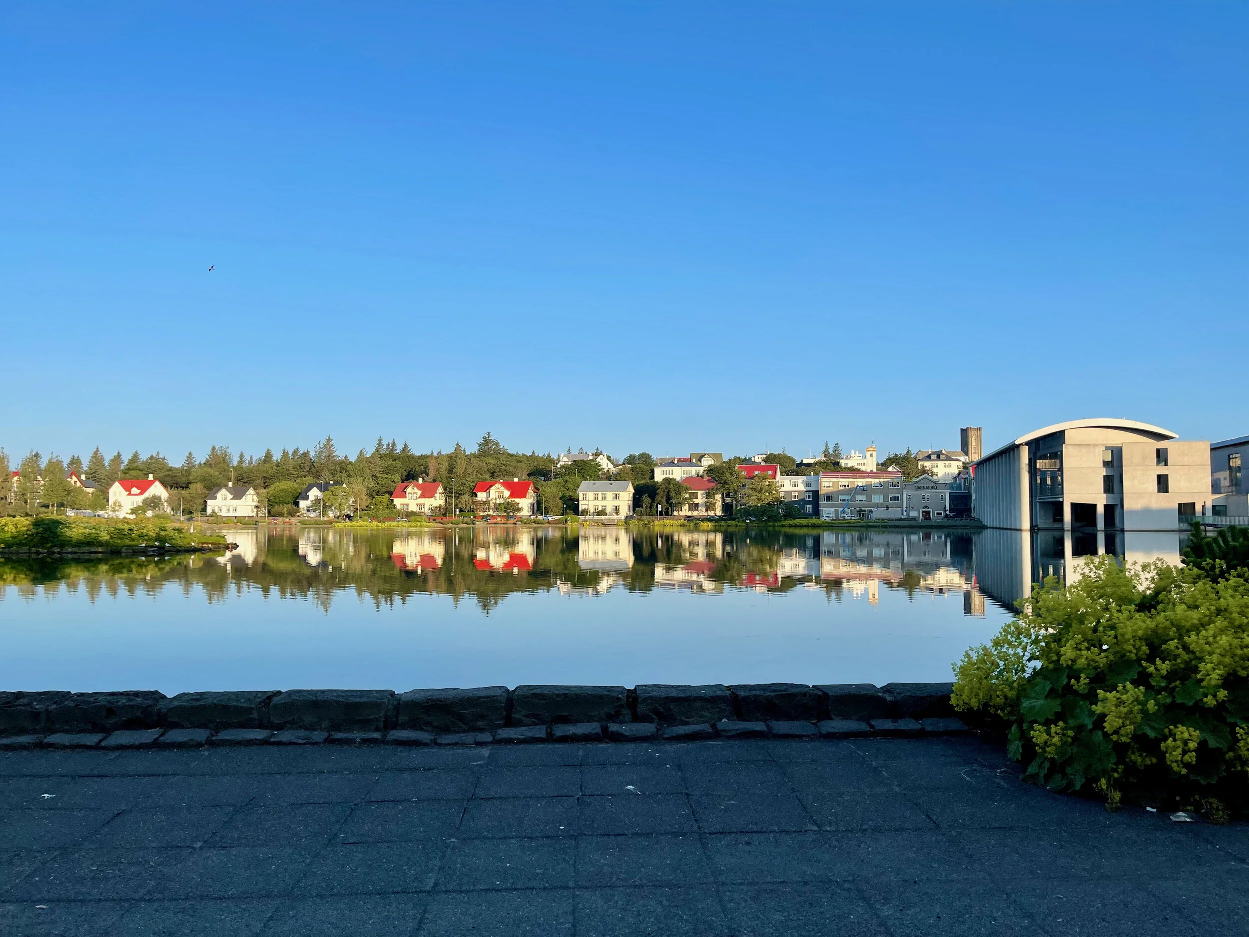 icelandday2_01 - 1.jpeg