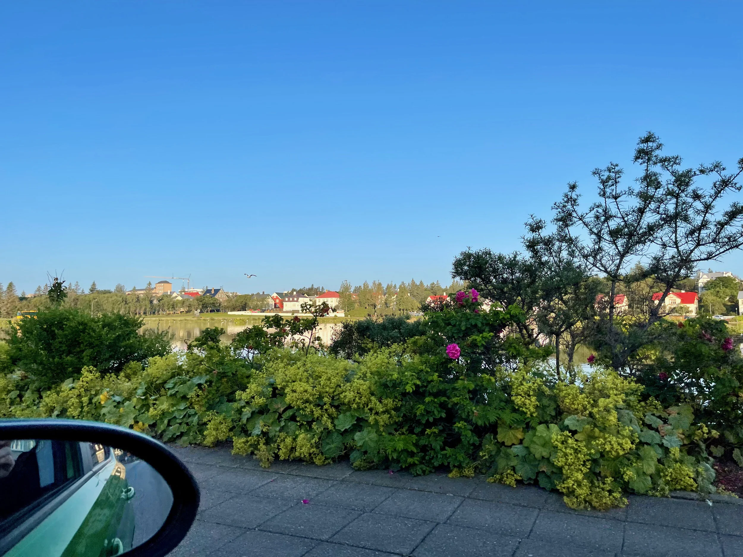 icelandday2_01 - 2.jpeg