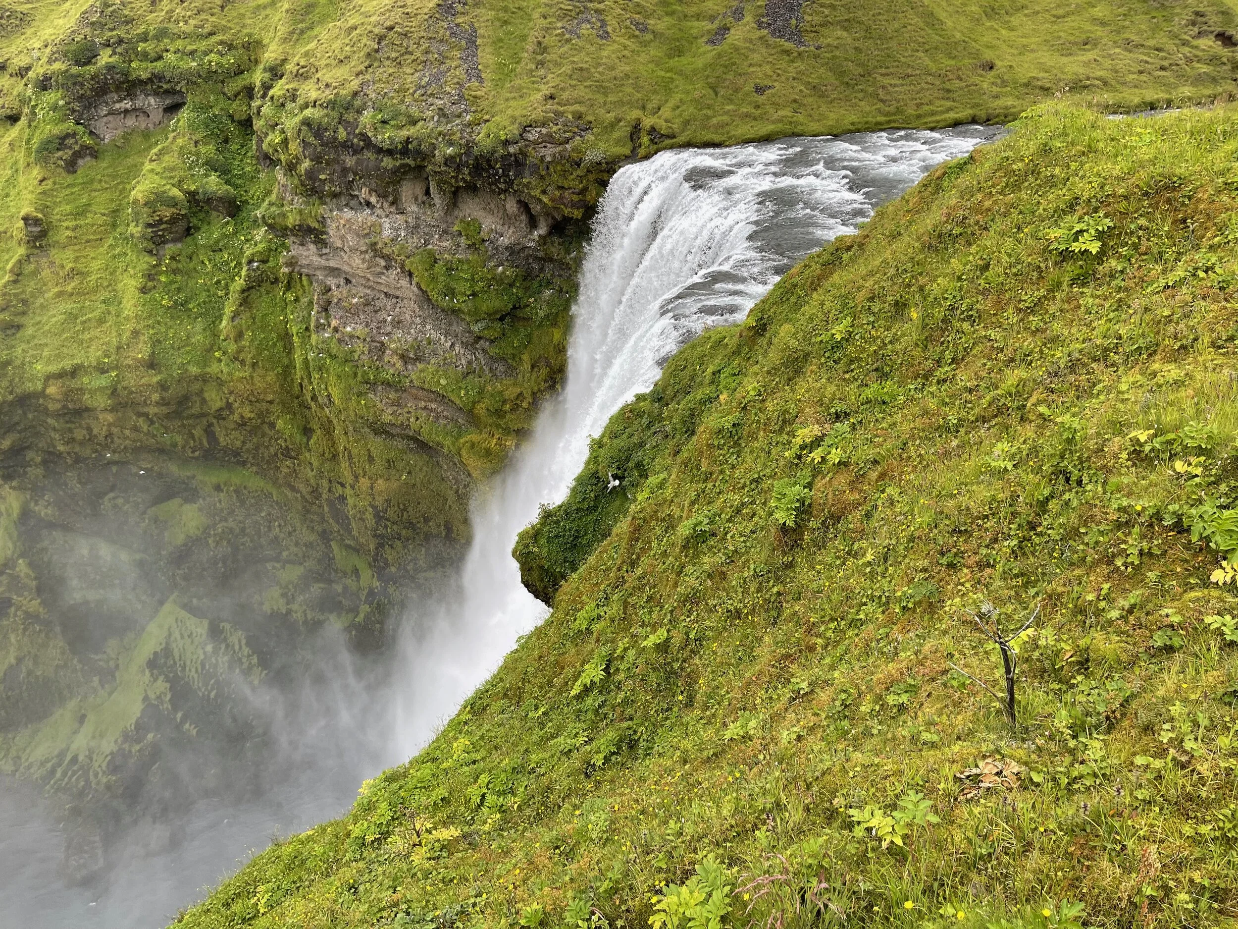 icelandday2_02 - 5.jpeg