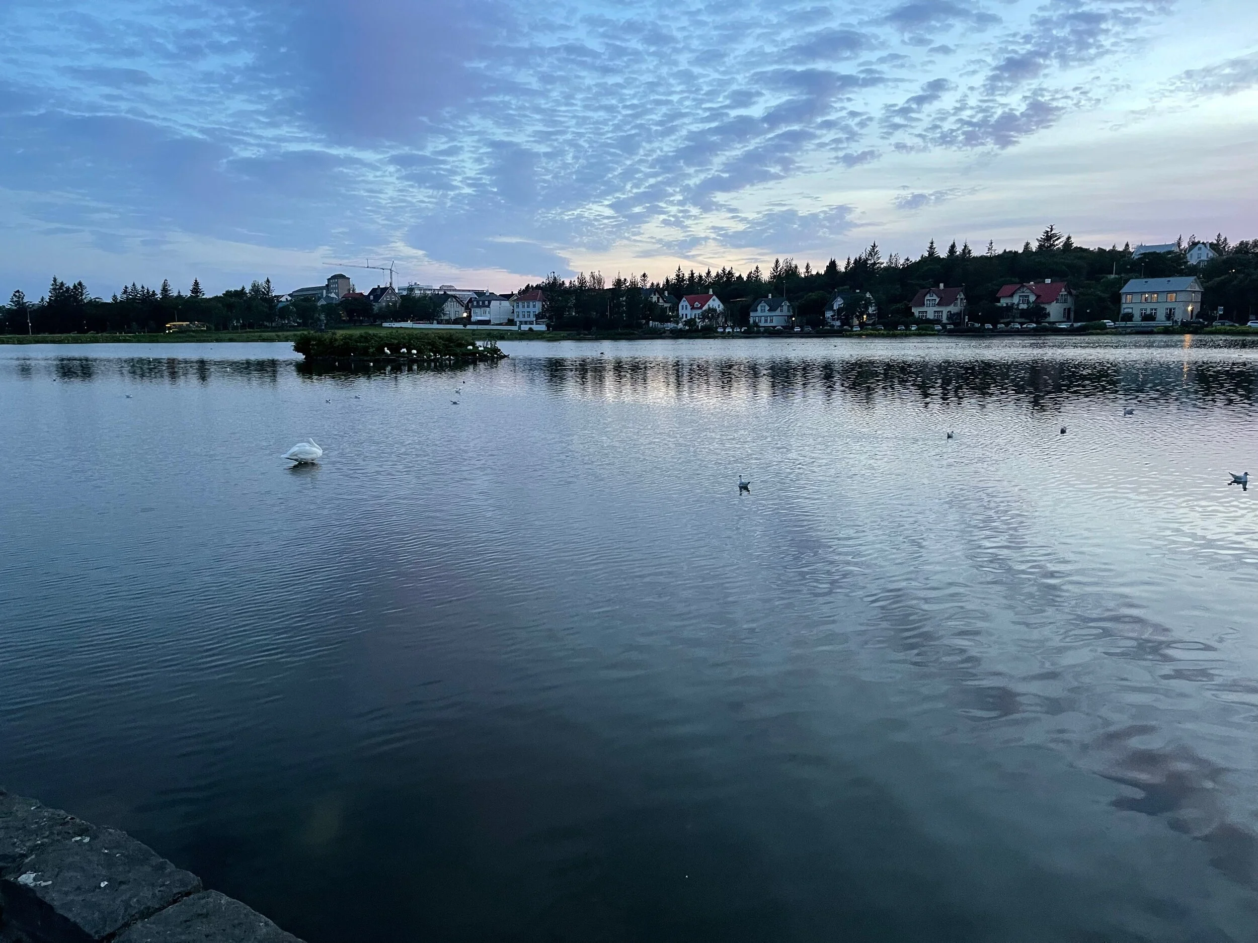 icelandday2_08 - 9.jpeg