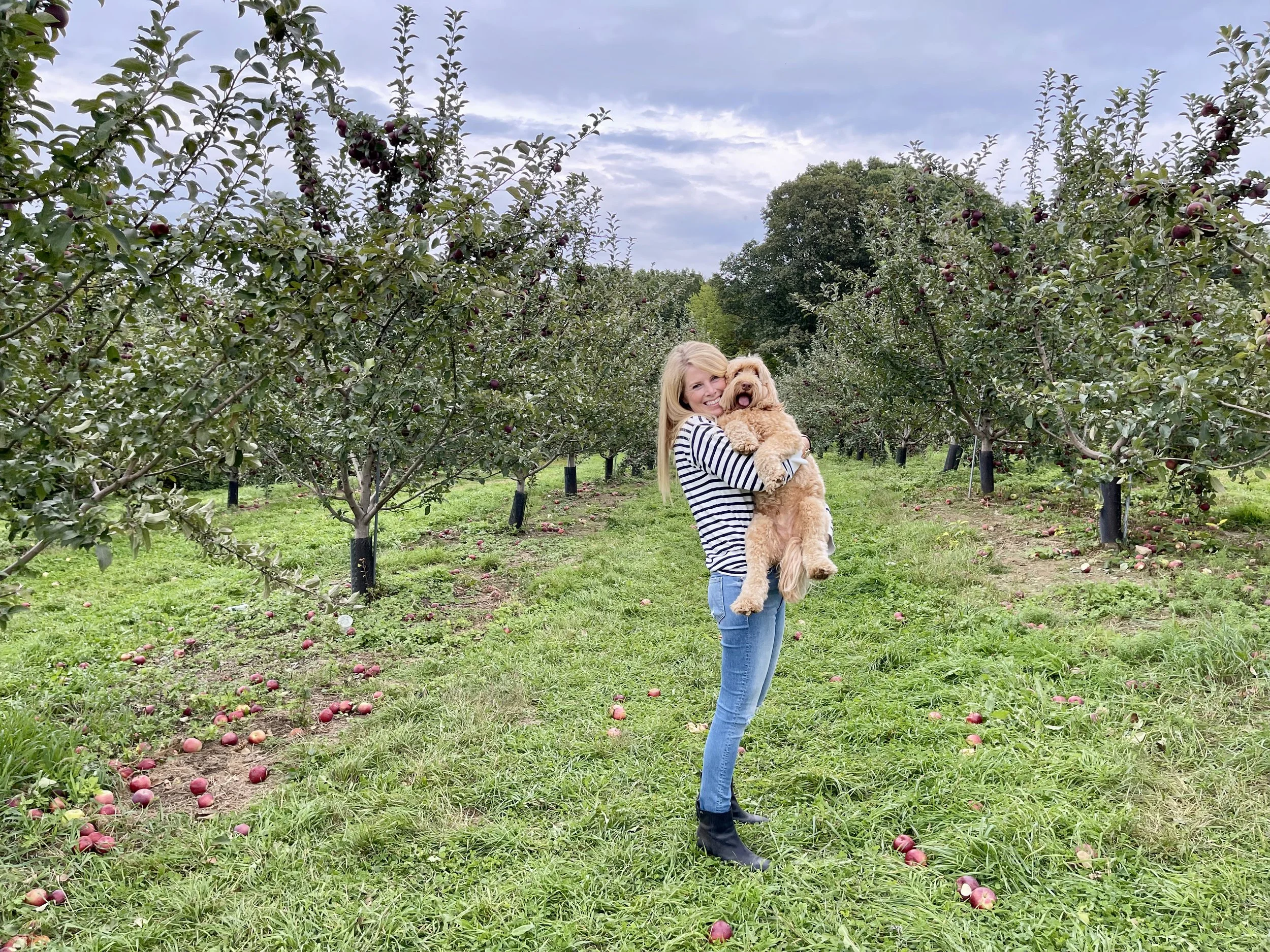 A Look Back - October 2021