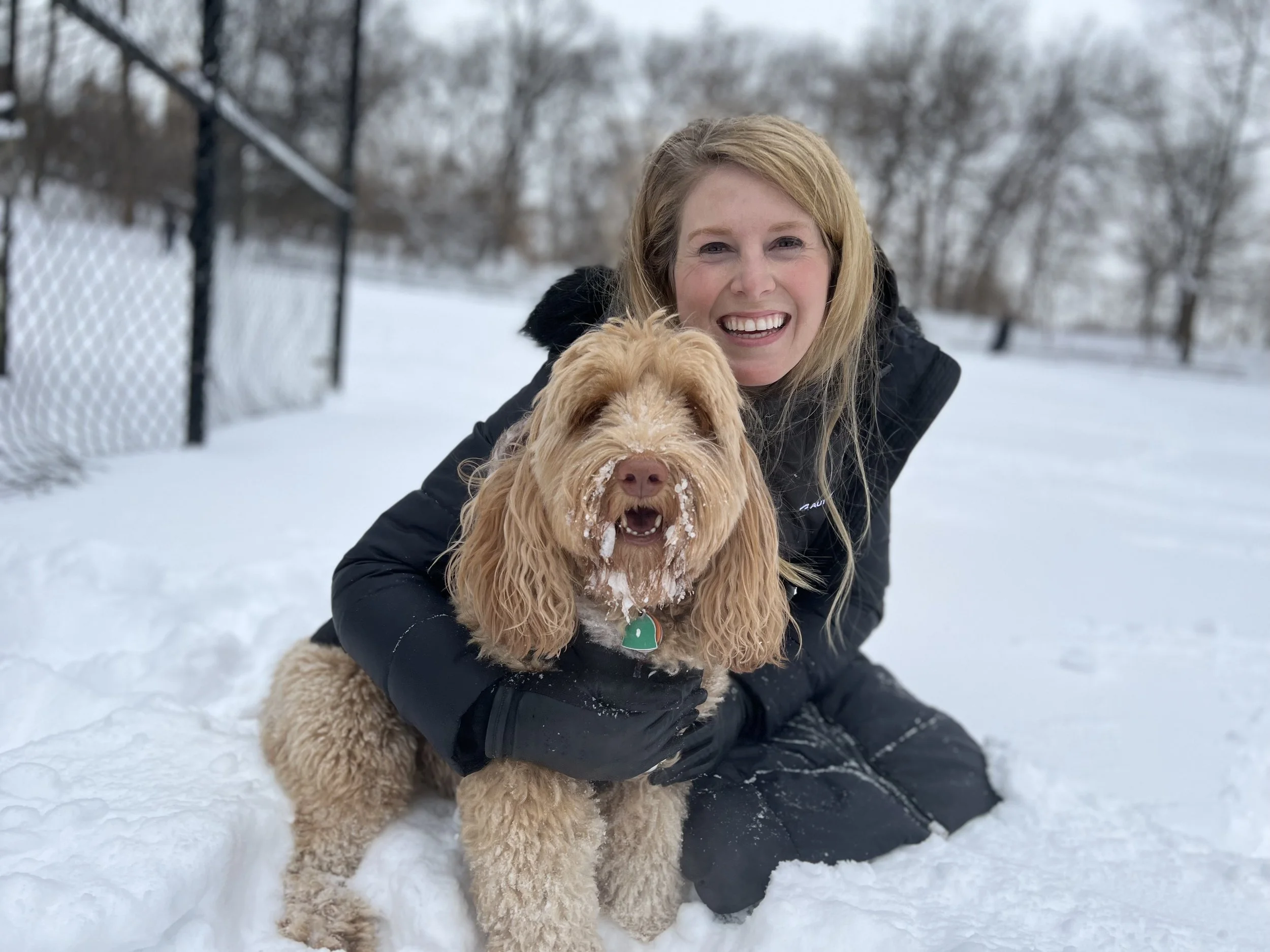 A Look Back - January 2022