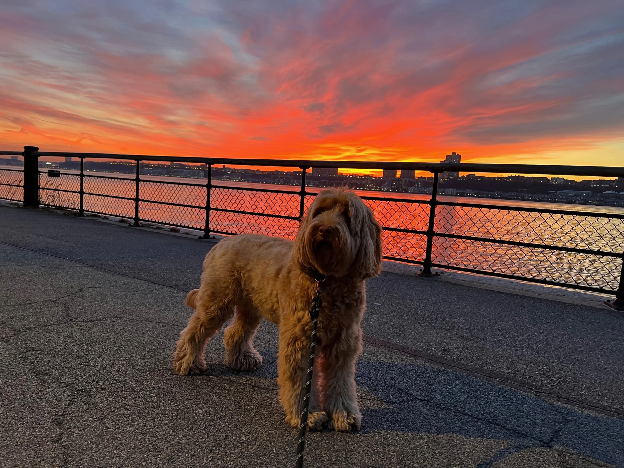 A Look Back - March 2022