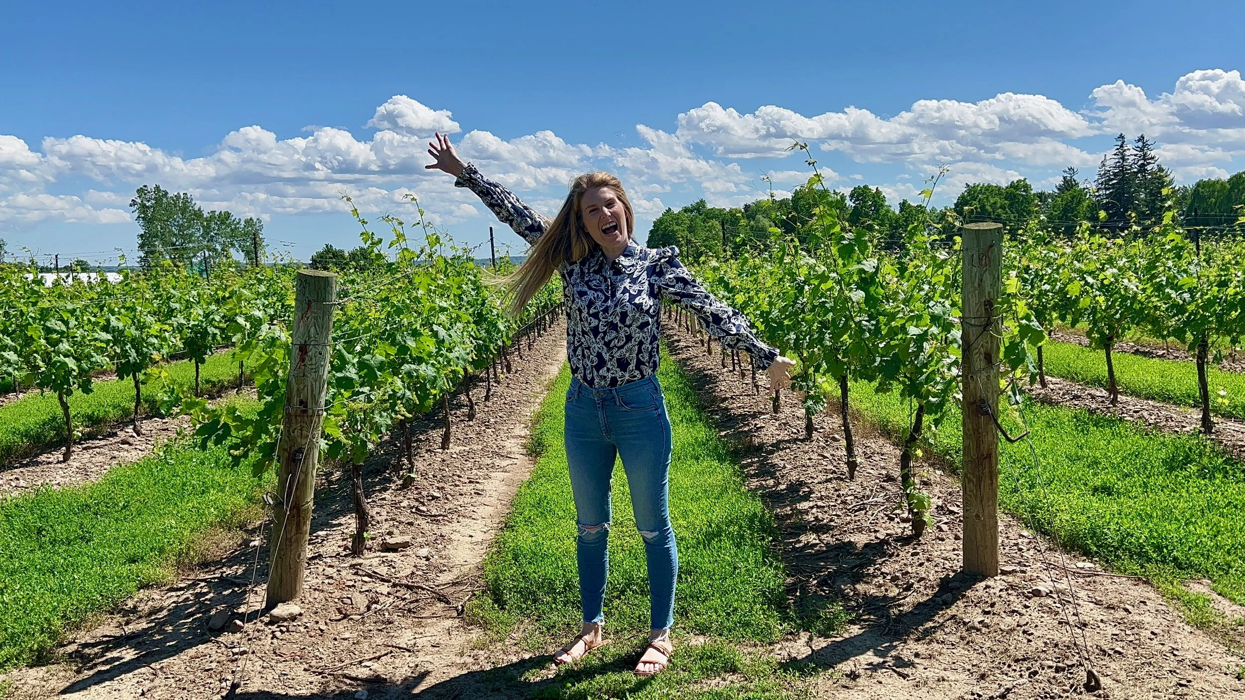 A Look Back - June 2022