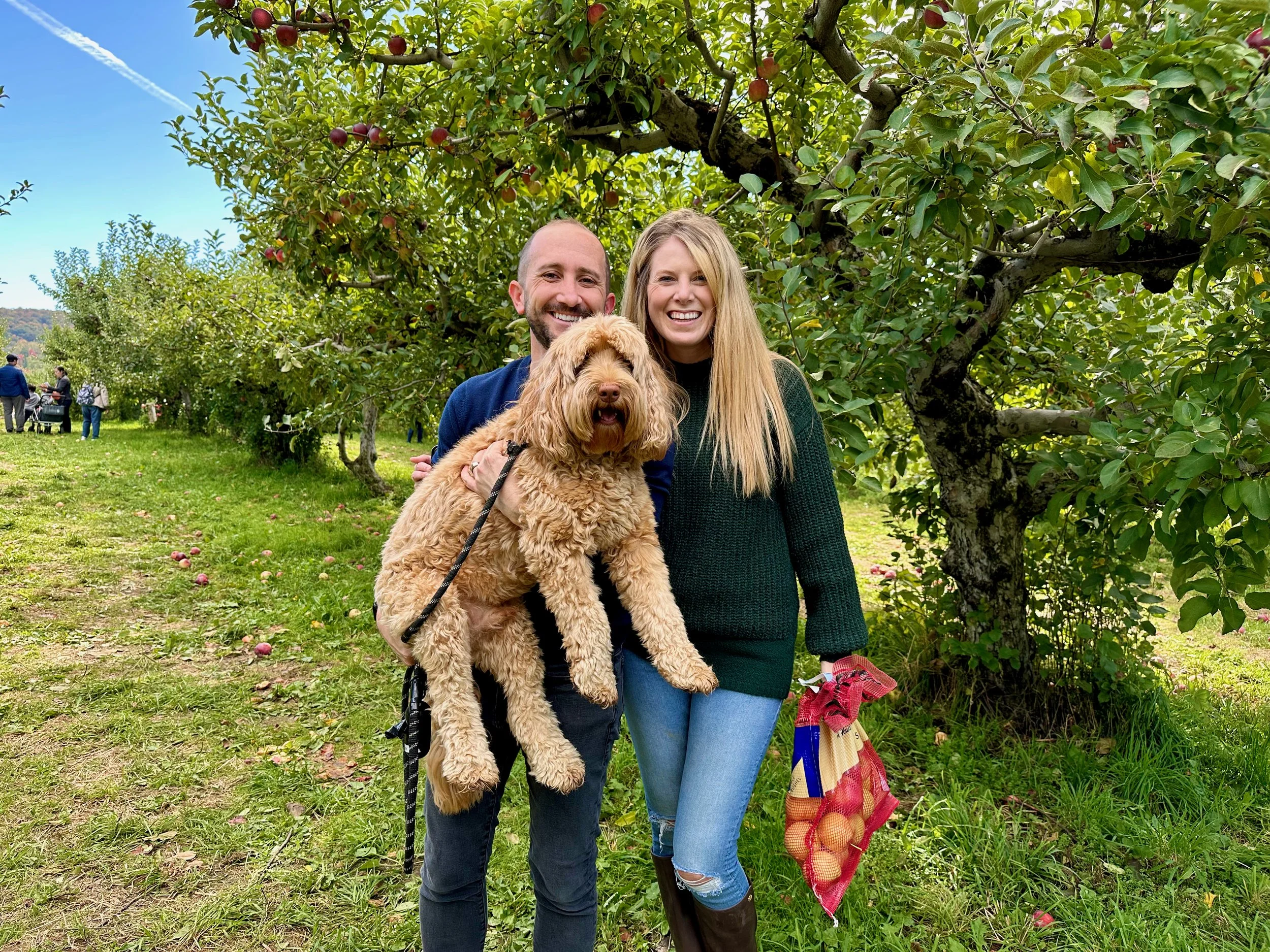 A Look Back - October 2022