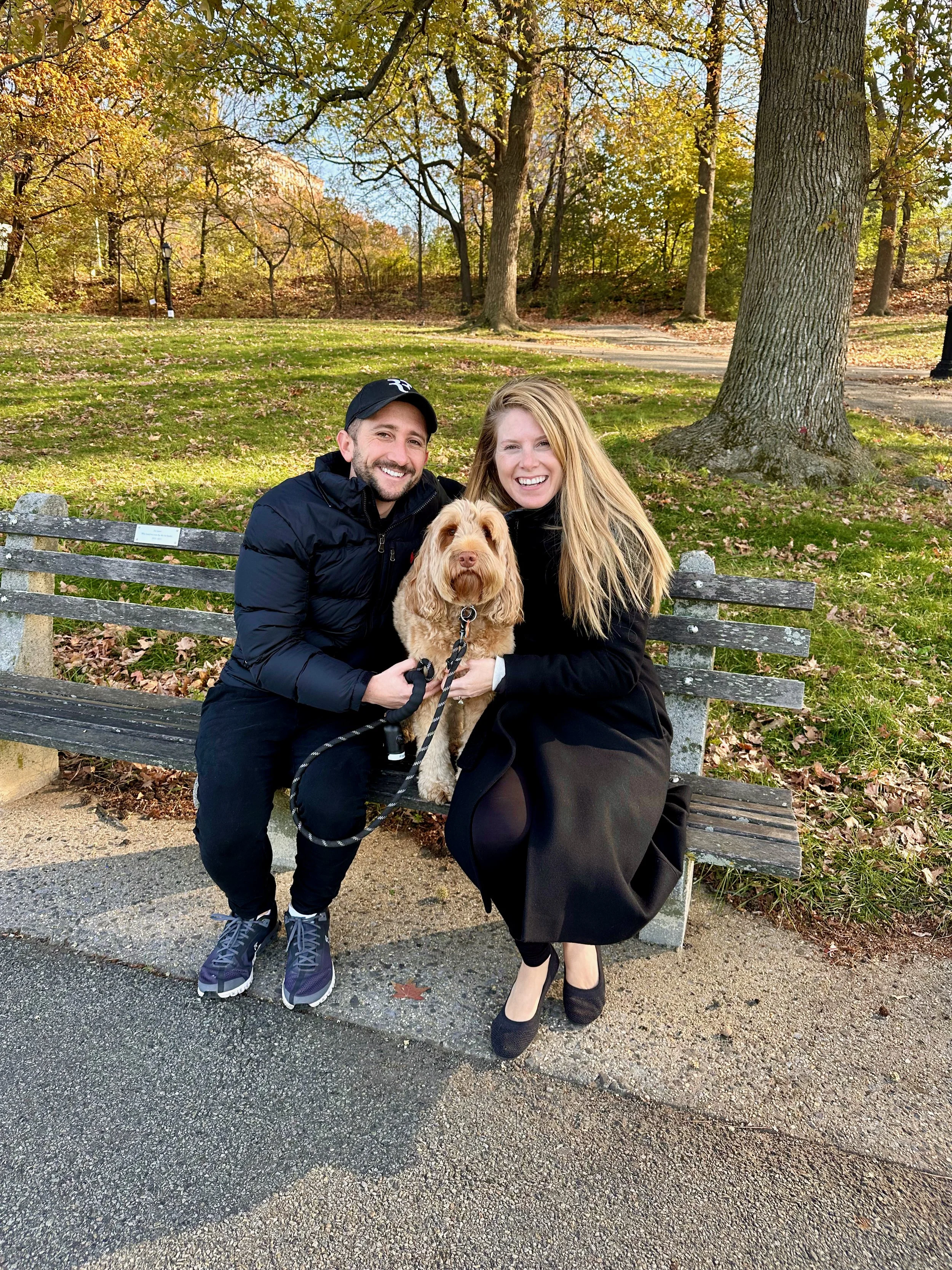 A Look Back - November 2022