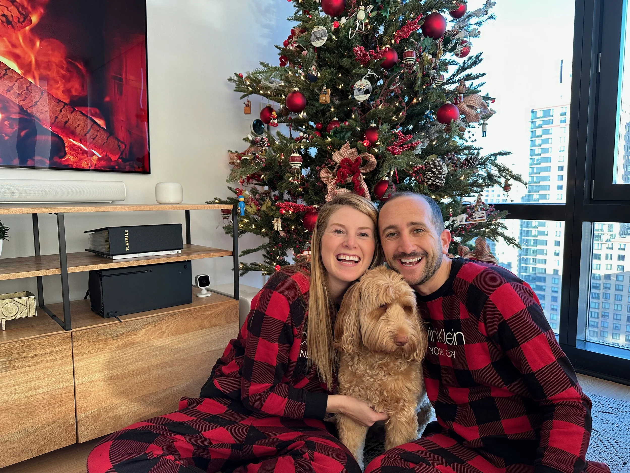 A Look Back - December 2022