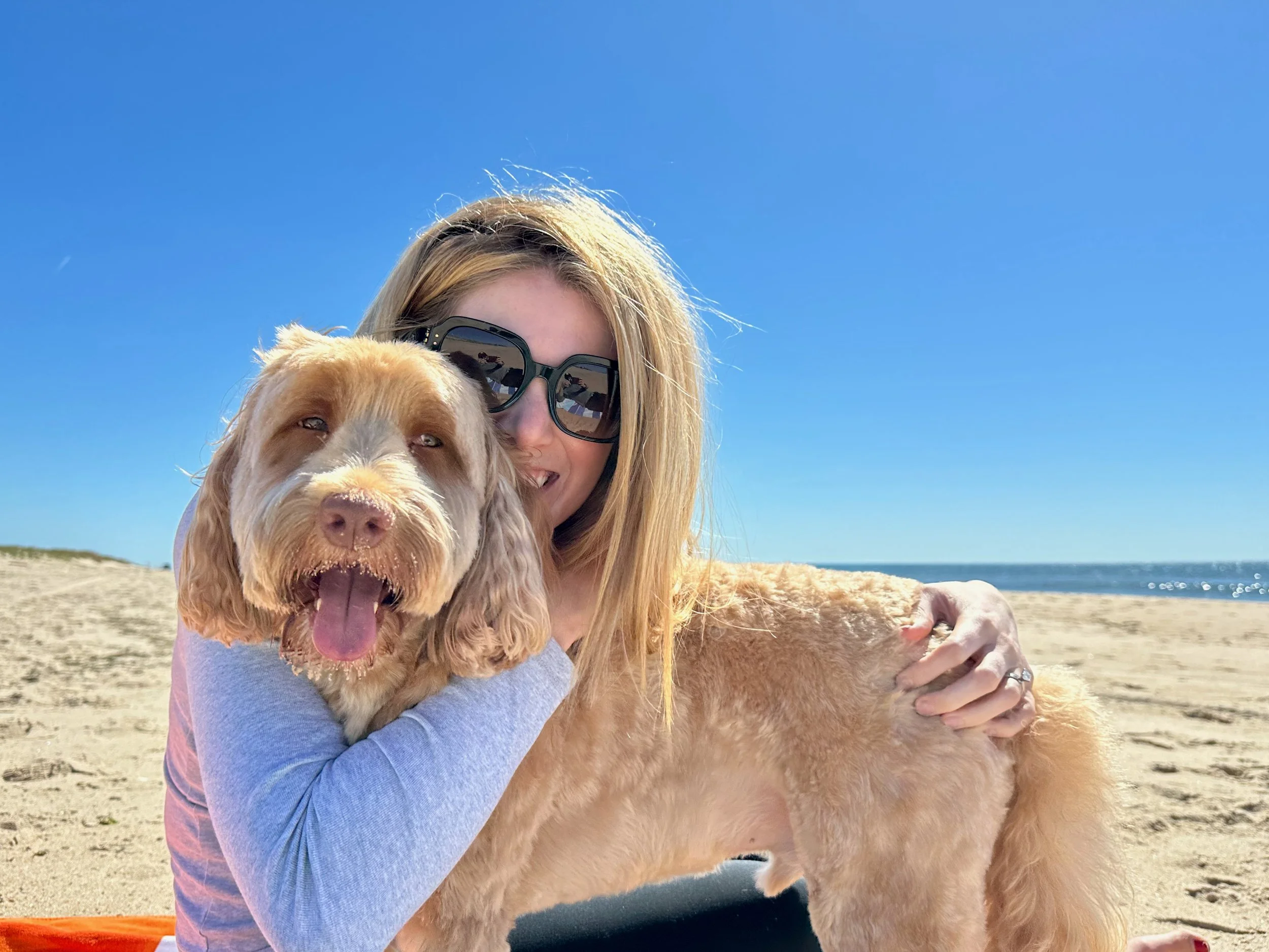 A Look Back - May 2023