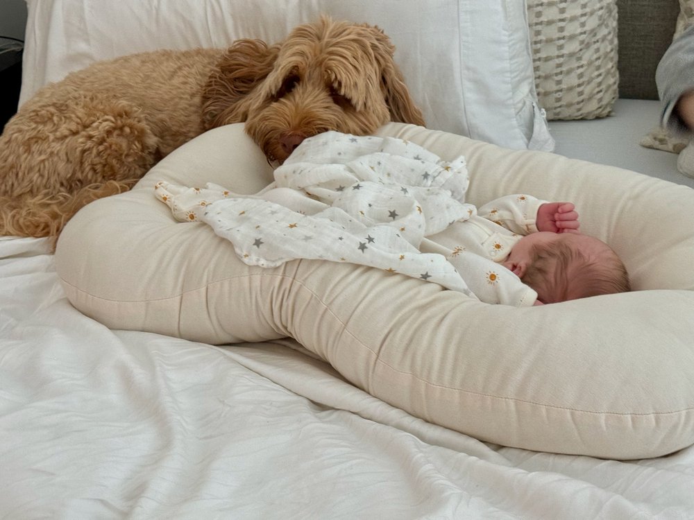 wojjune24_12 - 17.jpeg